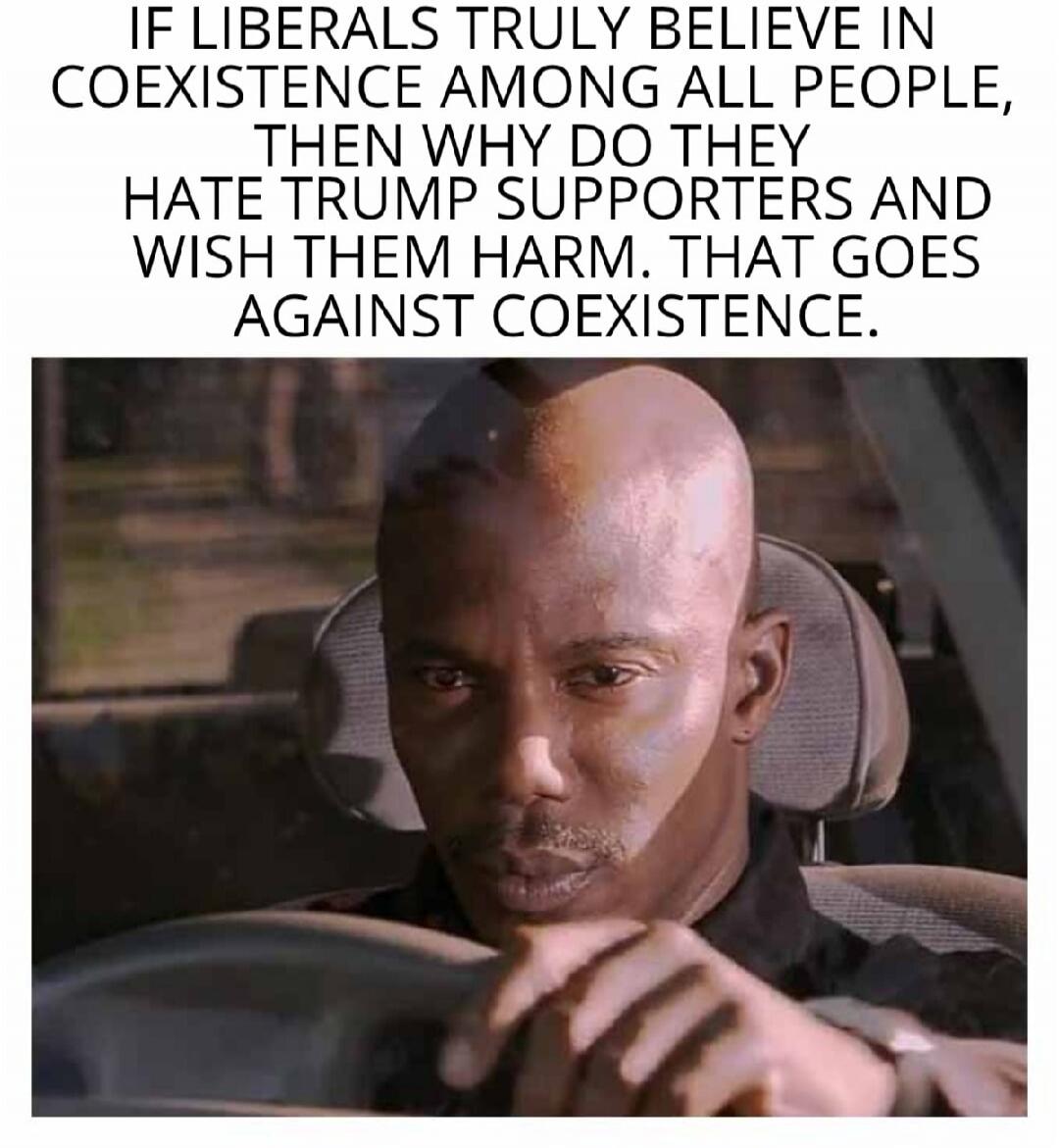 IF LIBERALS TRULY BELIEVE IN COEXISTENCE AMONG ALL PEOPLE, THEN WHY DO THEY HATE TRUMP SUPPORTERS AND WISH THEM HARM. THAT GOES AGAINST COEXISTENCE.