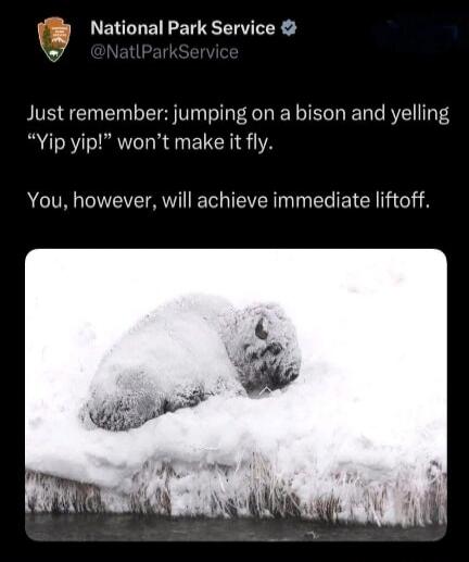 Just remember: jumping on a bison and yelling “Yip yip!” won’t make it fly. You, however, will achieve immediate liftoff.