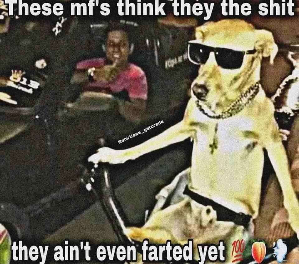 kThesg mrs think they the shit 7they aint evenfartediyet b 09 4