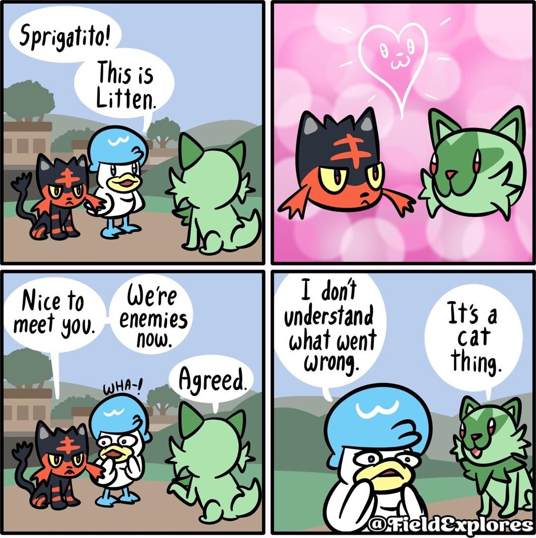 Sprigatito This is Litten Lu fen LS 4 o Niceto Were 1 dont B enemies understand Itsa meet gou 1L what went cat wrong thing T Fie FieldExplores