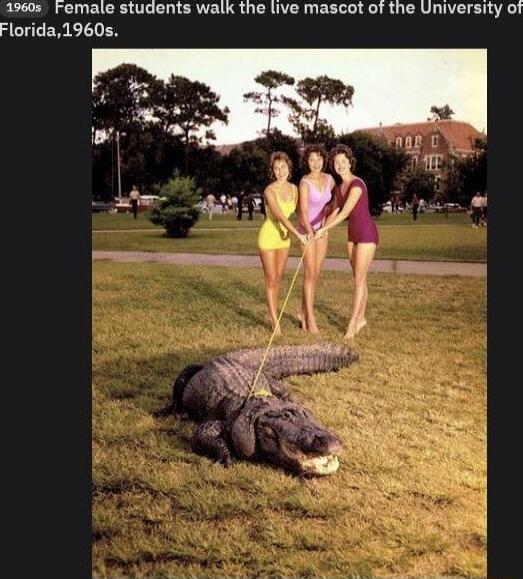 1960s Female students walk the live mascot of the University of ACUCERELICN