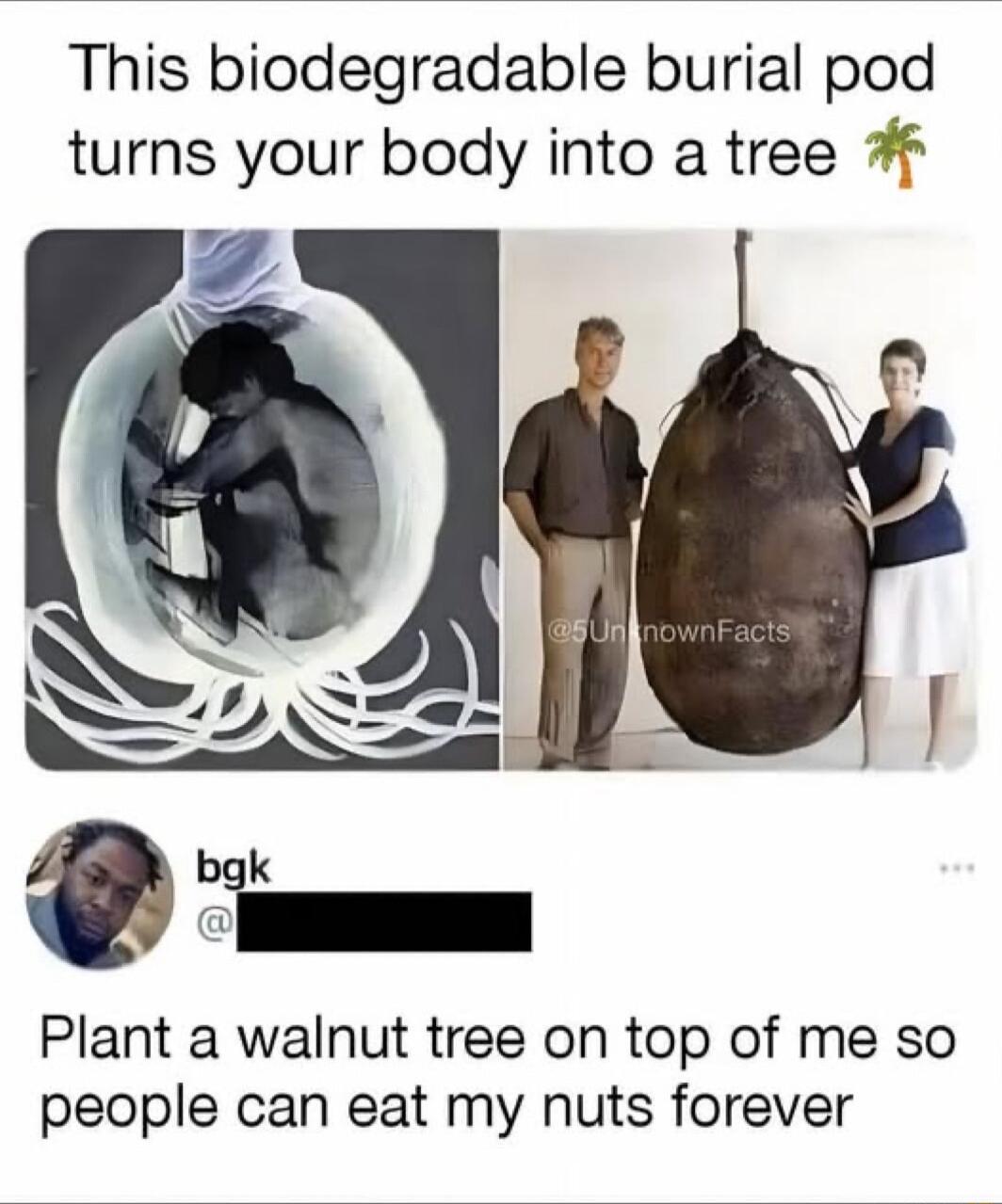 This biodegradable burial pod turns your body into a tree z N 4 bgk Plant a walnut tree on top of me so people can eat my nuts forever