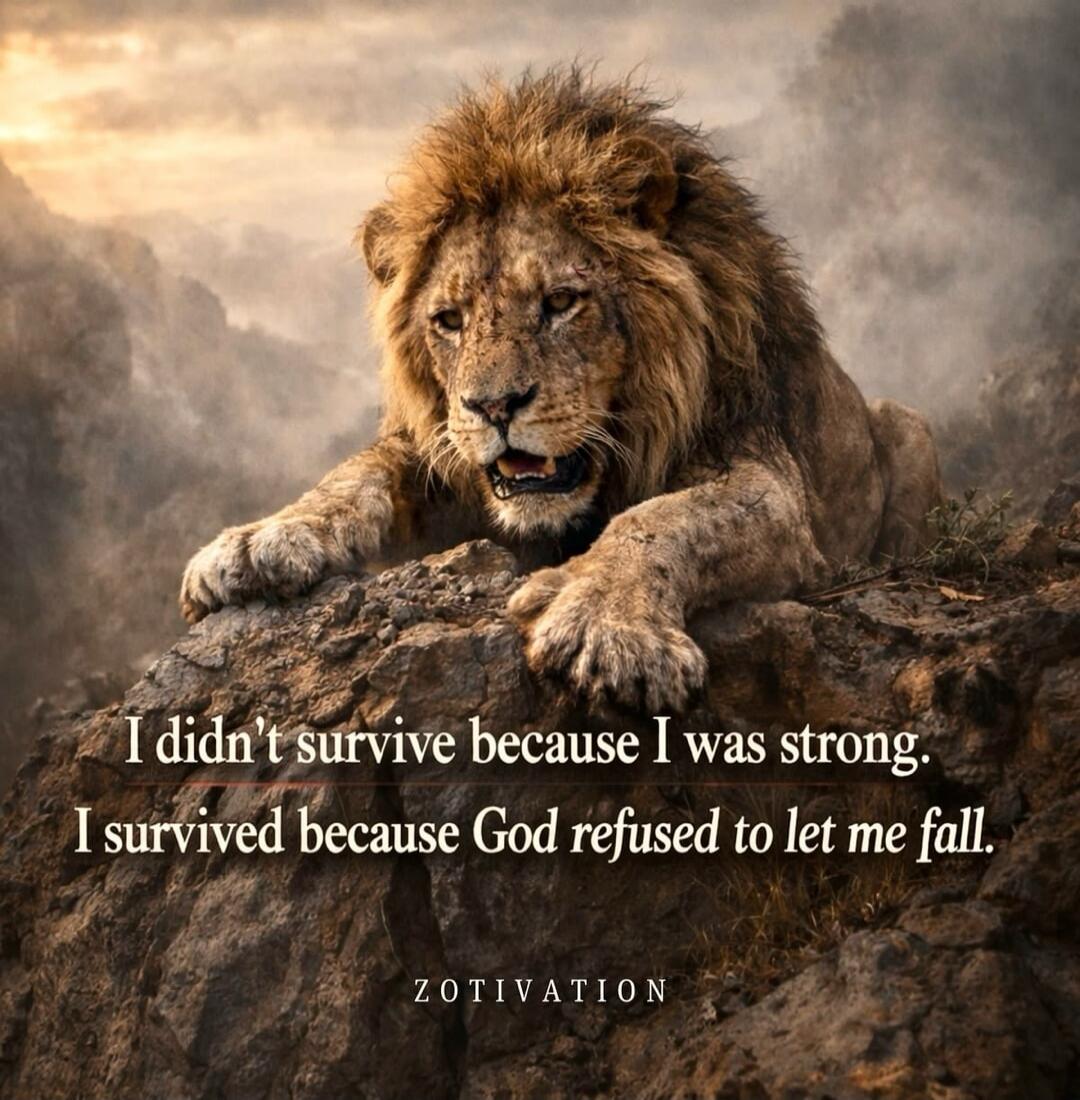 I didn't survive because I was strong. I survived because God refused to let me fall. ZOTIVATION