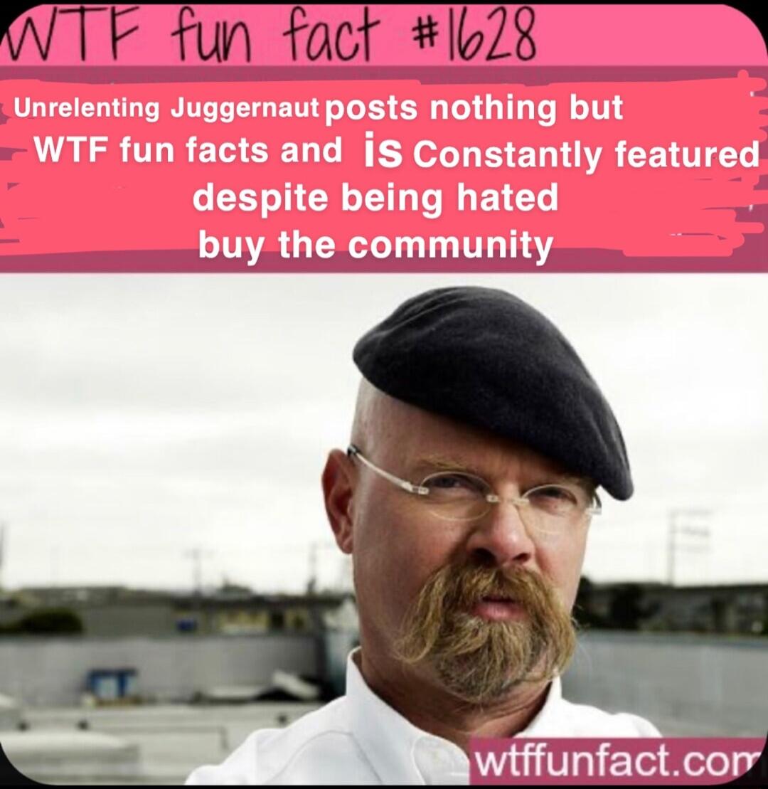 W TF fun fact 1678 i