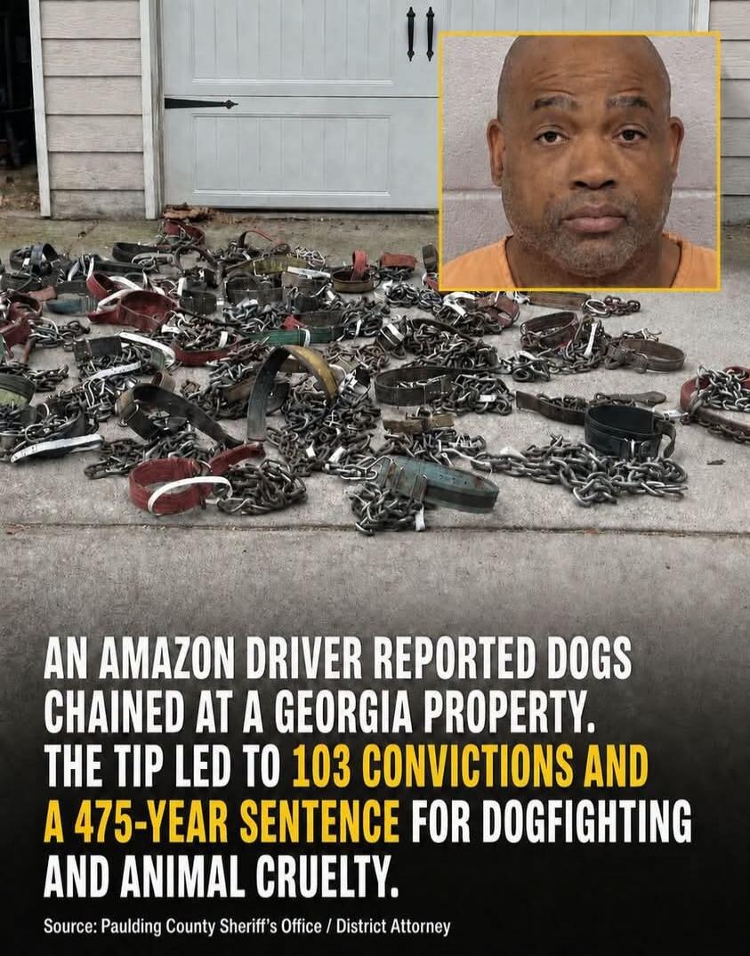 AN AMAZON DRIVER REPORTED DOGS CHAINED AT A GEORGIA PROPERTY. THE TIP LED TO 103 CONVICTIONS AND A 475-YEAR SENTENCE FOR DOGFIGHTING AND ANIMAL CRUELTY. Source: Paulding County Sheriff's Office / District Attorney