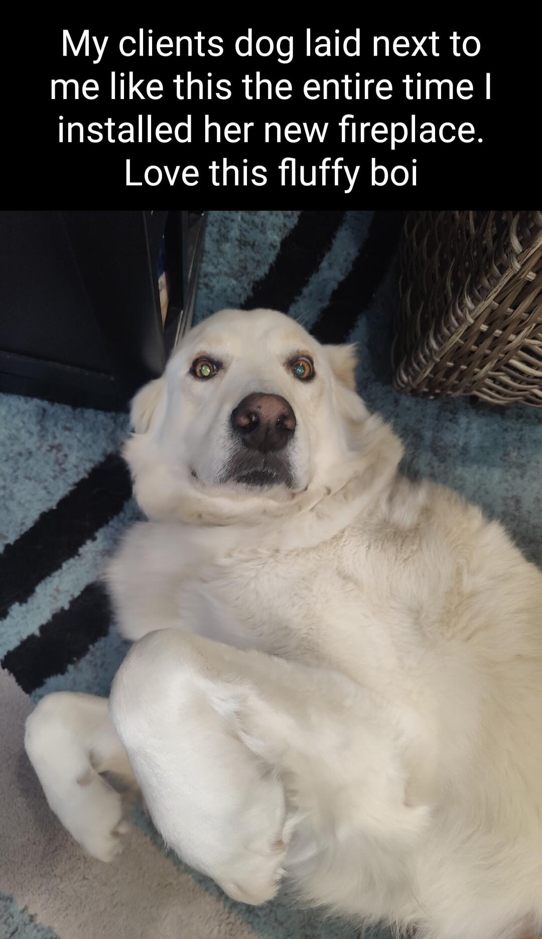 My clients dog laid next to me like this the entire time installed her new fireplace Love this fluffy boi R ory