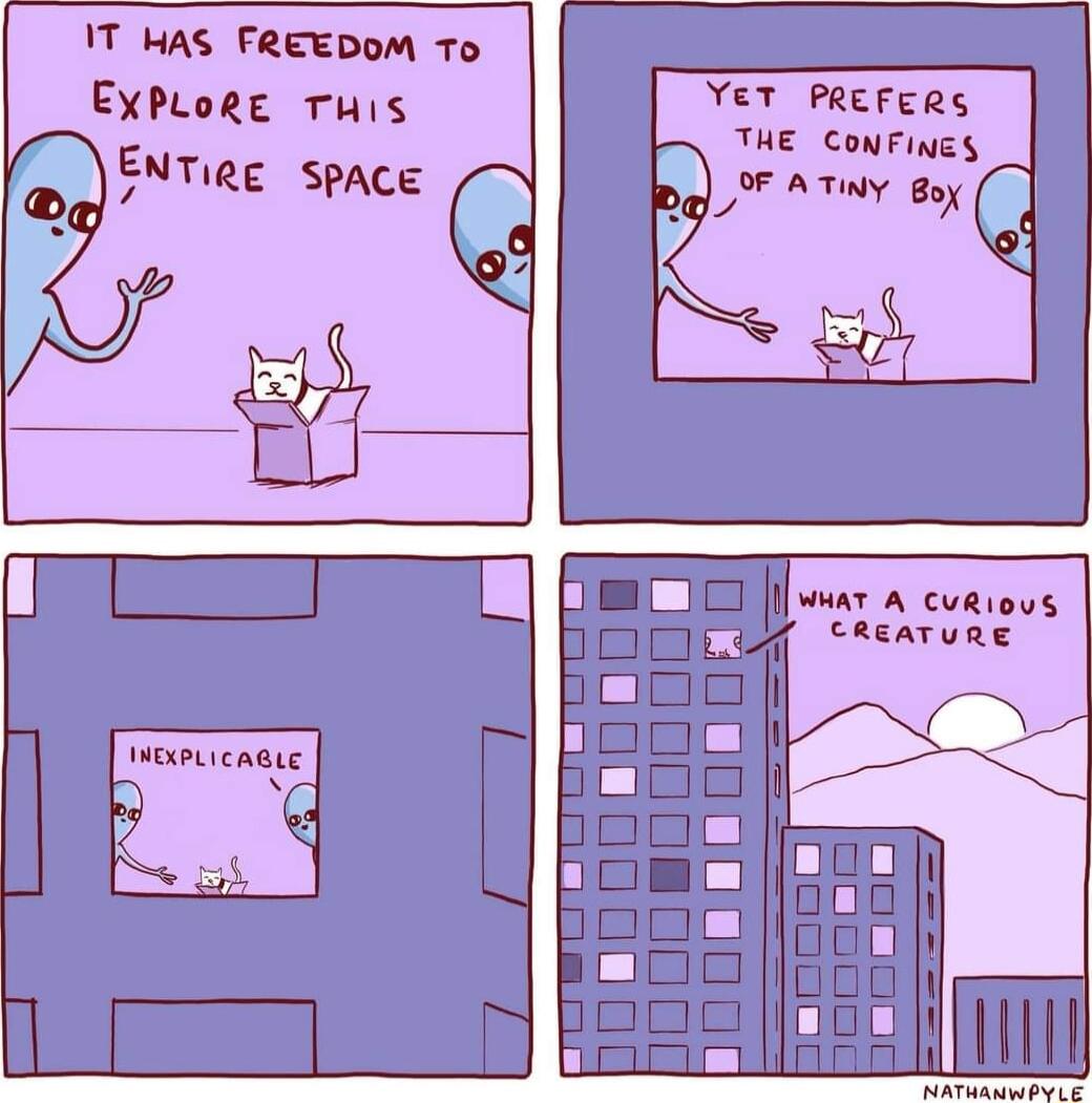 1T HAS FREEDOM To EXPLORE THIS YET PREFERS THE ConFings oF ATy OF ATy Boy q H T i ml R 2 2 1 2 S Wexeicneie hsom 3 K B8 N Booood baooog BOBCIE0 1 oy