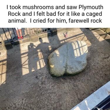 took mushrooms and saw Plymouth Rock and felt bad for it like a caged animal cried for him farewell rock
