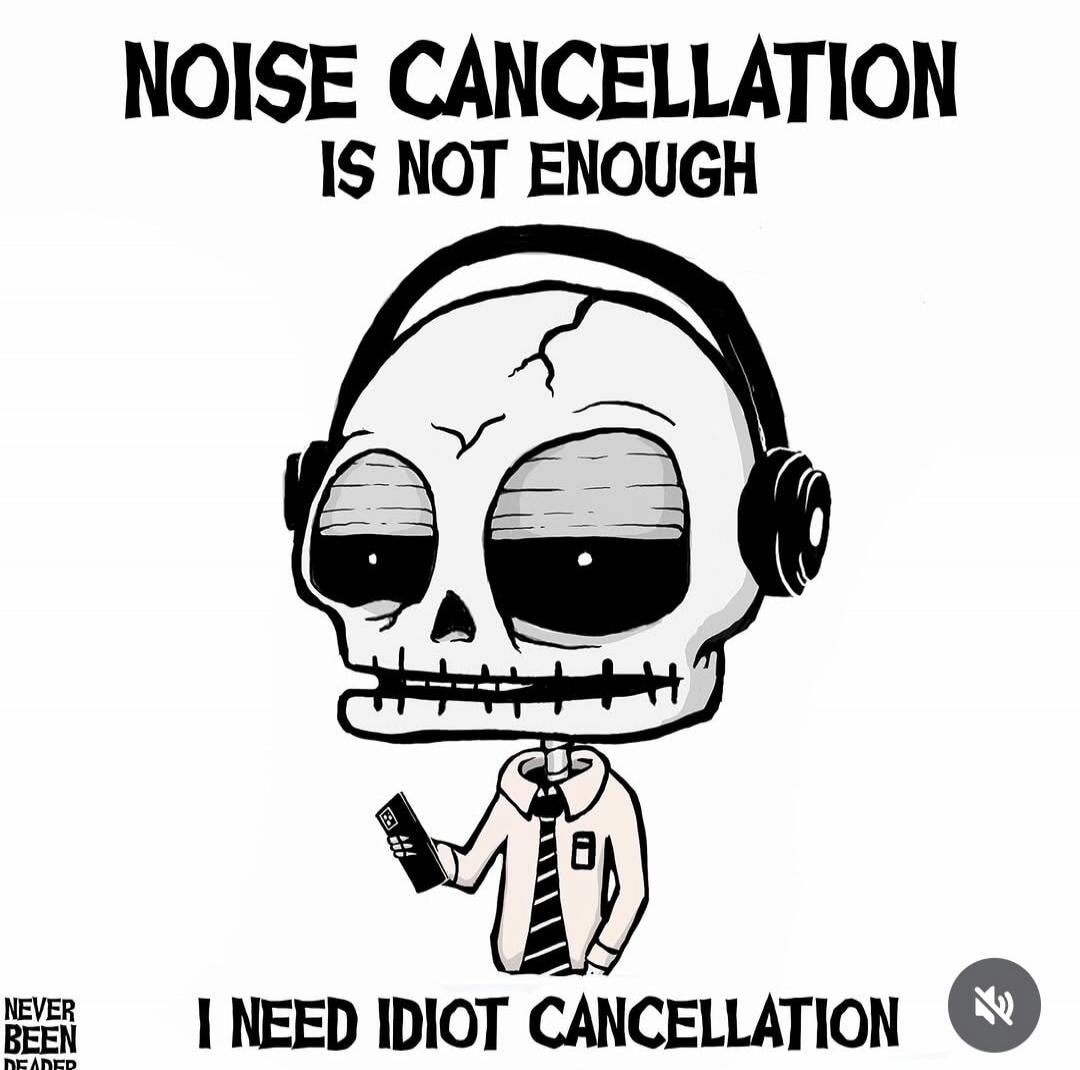 NOISE CANCELLATION IS NOT ENOUGH I NEED IDIOT CANCELLATION