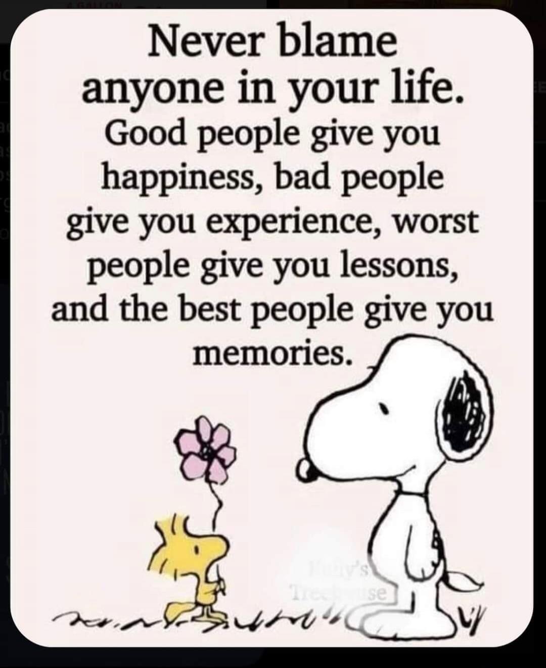 Never blame anyone in your life. Good people give you happiness, bad people give you experience, worst people give you lessons, and the best people give you memories.