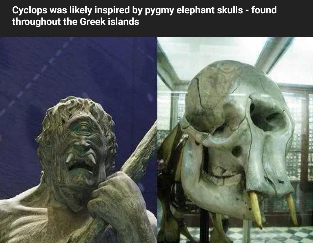 Cyclops was likely inspired by pygmy elephant skulls found throughout the Greek islands