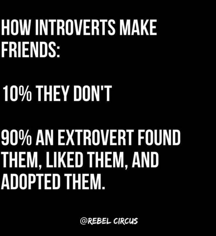 GUVET T RY A FRIENDS 10 THEY DONT 90 AN EXTROVERT FOUND THEM LIKED THEM AND ADOPTED THEM REBEL CIRCUS