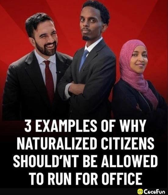 3 EXAMPLES OF WHY NATURALIZED CITIZENS SHOULDN'T BE ALLOWED TO RUN FOR OFFICE