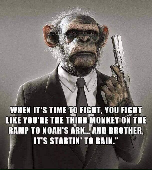 WHEN IT'S TIME TO FIGHT, YOU FIGHT LIKE YOU'RE THE THIRD MONKEY ON THE RAMP TO NOAH'S ARK... AND BROTHER, IT'S STARTIN' TO RAIN.