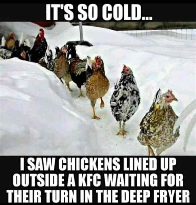 ITS S0 COLD EEECHIE IR OUTSIDE A KFC WAITING FOR THEIR TURN IN THE DEEP FRYER