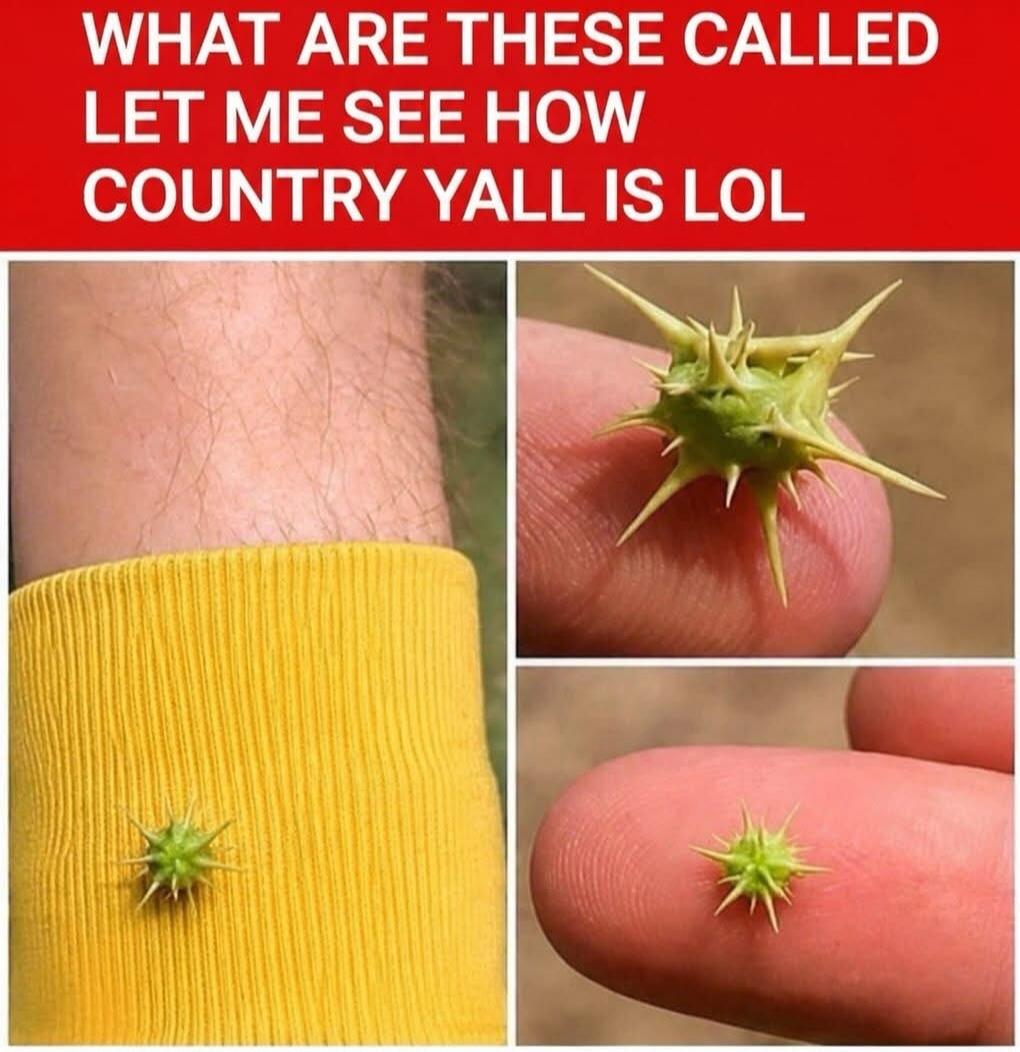 WHAT ARE THESE CALLED LET ME SEE HOW COUNTRY YALL IS LOL