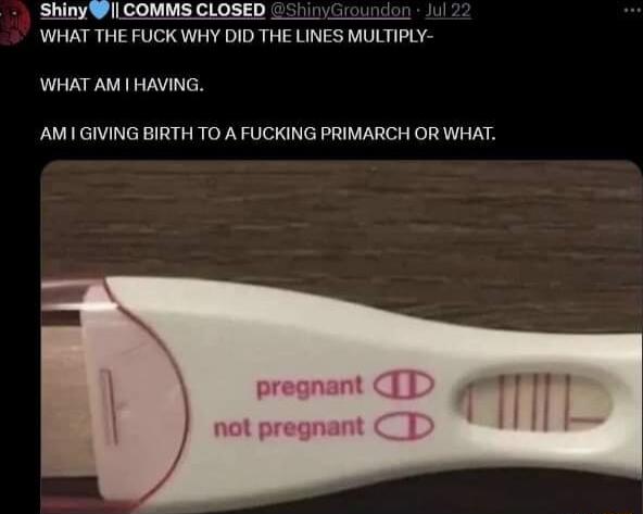 Shiny 1 COMMS CLOSED WHAT THE FUCK WHY DID THE LINES MULTIPLY WHAT AM HAVING AMI GIVING BIRTH TO A FUCKING PRIMARCH OR WHAT pregnant D 4P 11 not pregnant CT