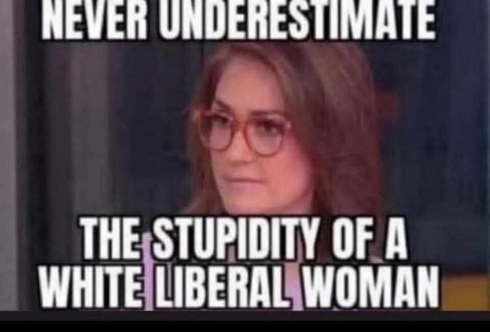 NEVER UNDERESTIMATE THE STUPIDITY OF A WHITE LIBERAL WOMAN