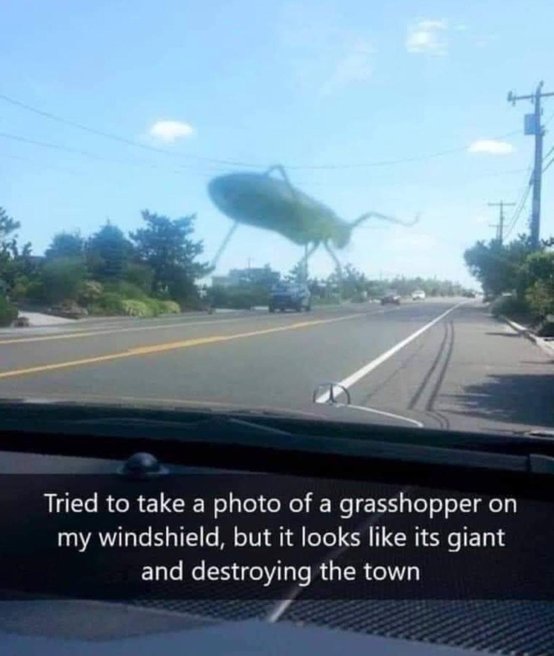 L RCRELCR Nelslol o Ne Wo ESylelooII ey 12 AYITaTe Y o111s MY oT0 il eTe R R e E 1 EaTe le e TaTe I 3 IR o107 4