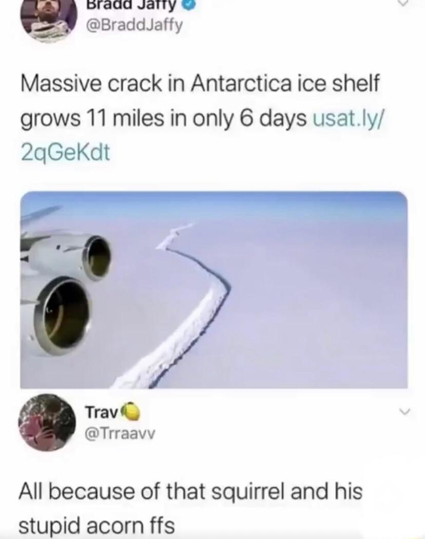 BiaQa Jaity Massive crack in Antarctica ice shelf grows 11 miles in only 6 days usatly 2qGeKdt Travily Trraavy All because of that squirrel and his stupid acorn ffs