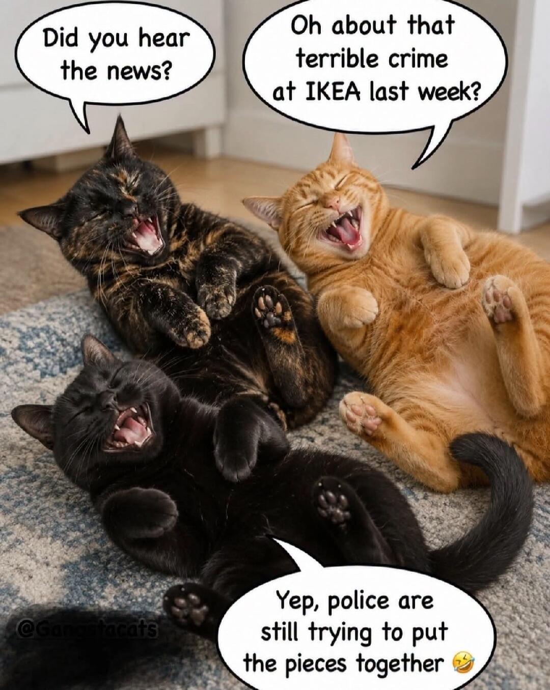 Did you hear the news? Oh about that terrible crime at IKEA last week? Yep, police are still trying to put the pieces together 😂