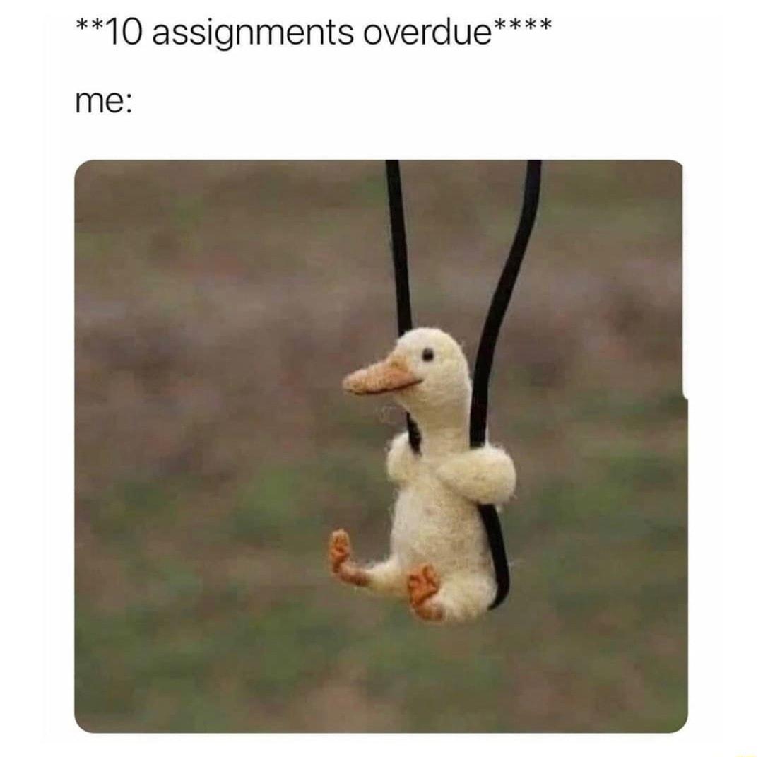 10 assignments overdue me