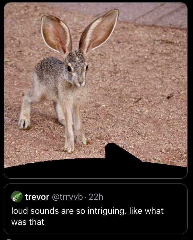 trevor trrvvb 22h loud sounds are so intriguing like what NERRGEN