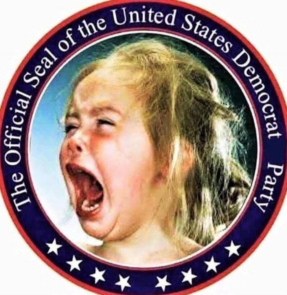 The Official Seal of the United States Democrat Party. A crying child's face is depicted within a circular emblem, satirically representing the Democratic Party.