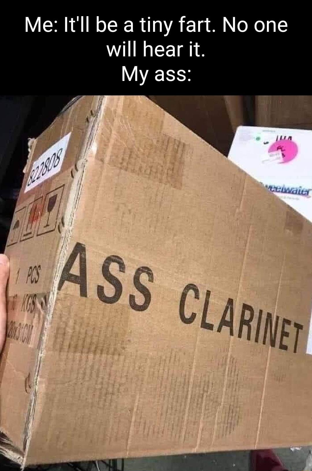 Me Itll be a tiny fart No one will hear it A EES