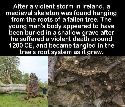 After a violent storm in Ireland a UCGTEVE R G EVERR GITL IO ET T T from the roots of afallen tree The young mans body appeared to have been buried in a shallow grave after LCETLCICT I RT EL de EET RE T T 1200 CE and became tangled in the trees root system ES lt grew