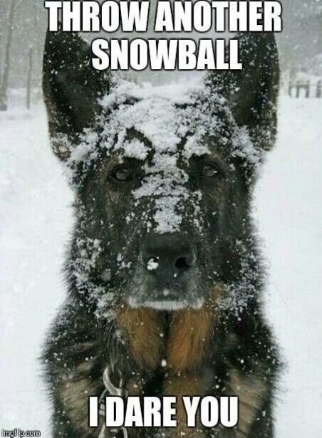 THROW ANOTHER SNOWBALL I DARE YOU