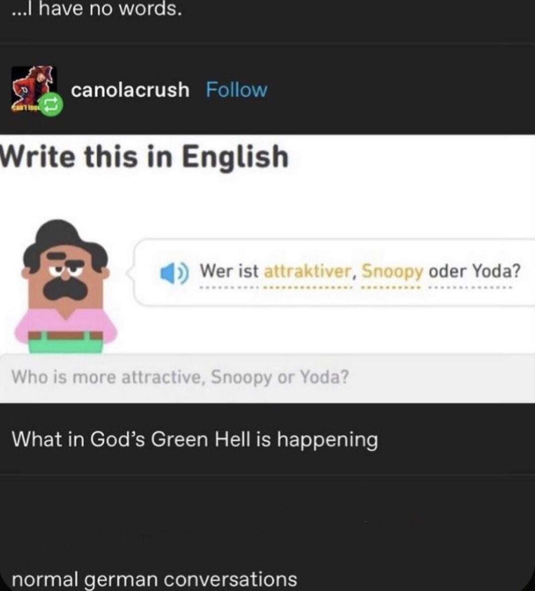 have no words canolacrush Follow rite this in English Wer ist atirak py oder Yoda What in Gods Green Hell is happening normal german conversations