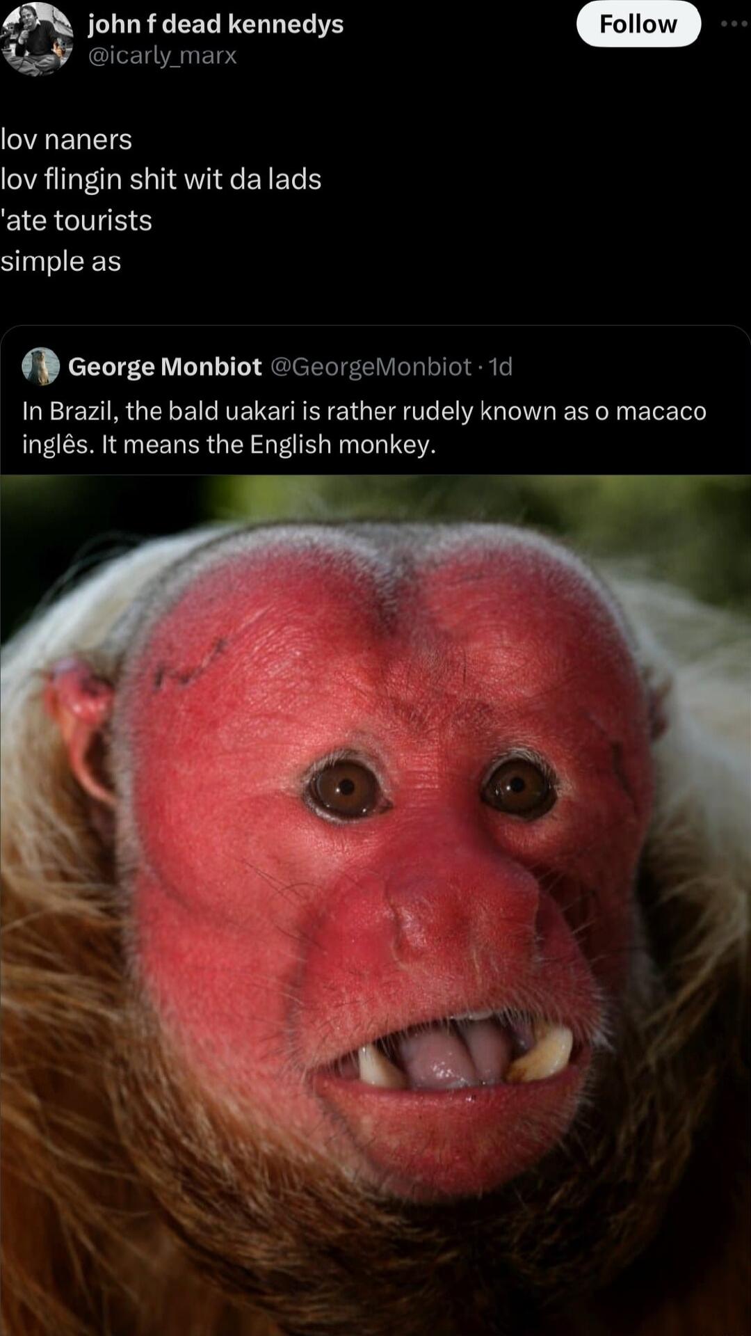 john f dead kennedys icarly marx lov naners lov flingin shit wit da lads ate tourists SINEES P George Monbiot GeorgeNonbiot 1d In Brazil the bald uakari is rather rudely known as o macaco ingls It means the English monkey