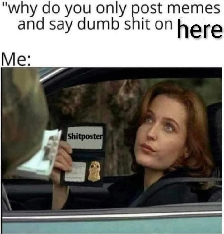 why do you only post memes and say dumb shit on here Me: Shitposter