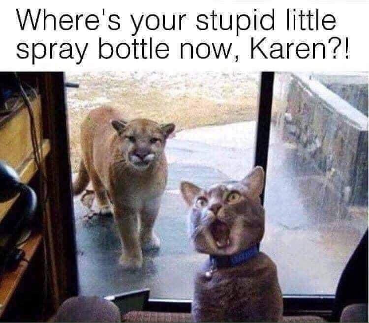 Wheres your stupid little spray bottle now Karen