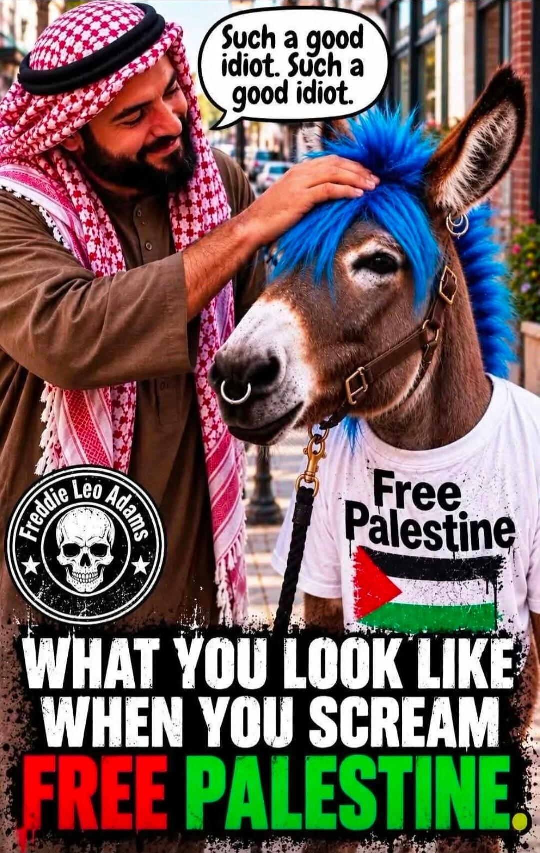 Such a good idiot. Such a good idiot. WHAT YOU LOOK LIKE WHEN YOU SCREAM FREE PALESTINE. Free Palestine. Freddie Leo Adams.