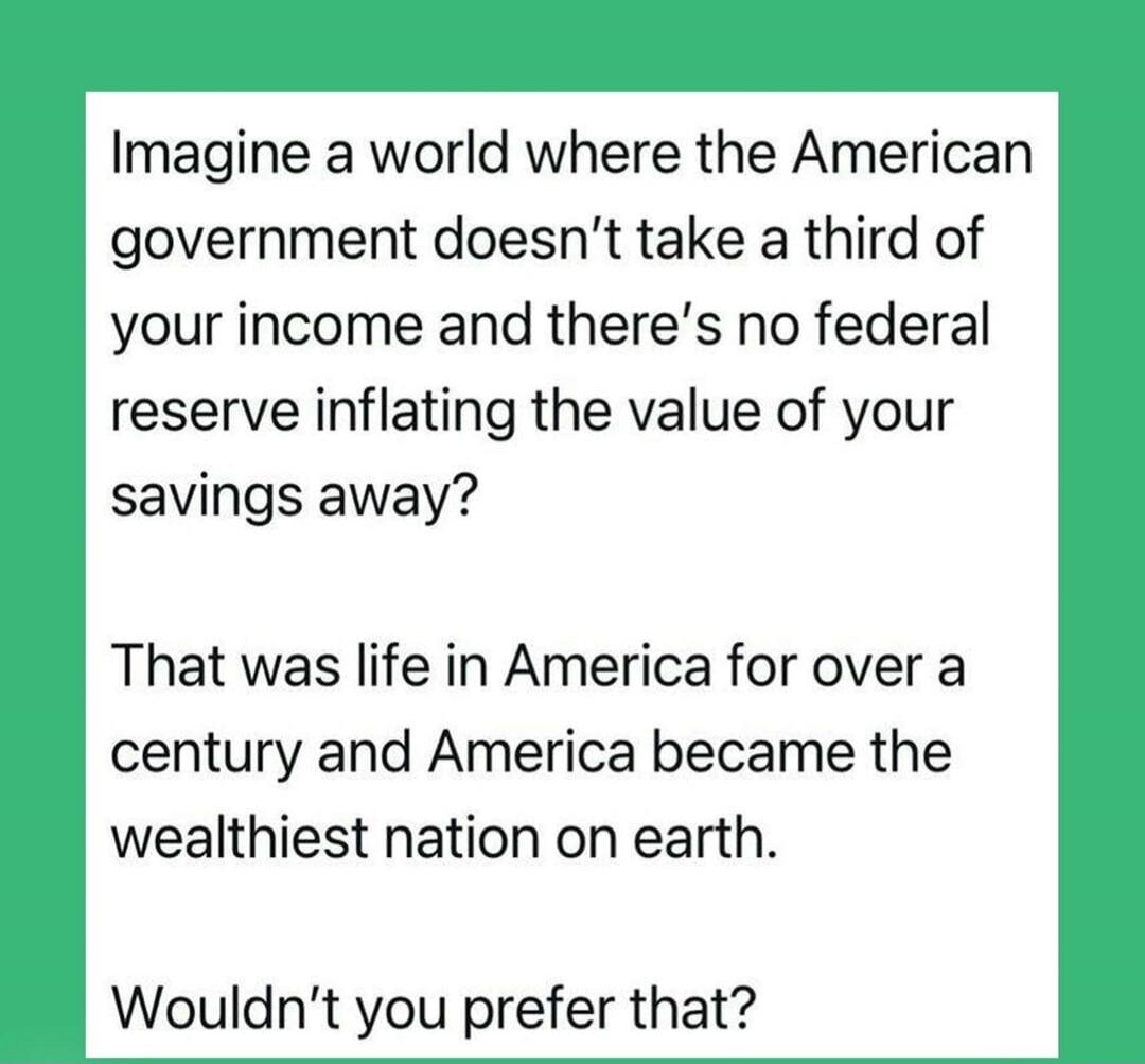 Imagine a world where the American government doesn't take a third of your income and there's no federal reserve inflating the value of your savings away? That was life in America for over a century and America became the wealthiest nation on earth. Wouldn't you prefer that?