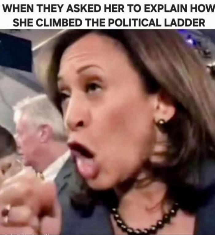 WHEN THEY ASKED HER TO EXPLAIN HOW SHE CLIMBED THE POLITICAL LADDER