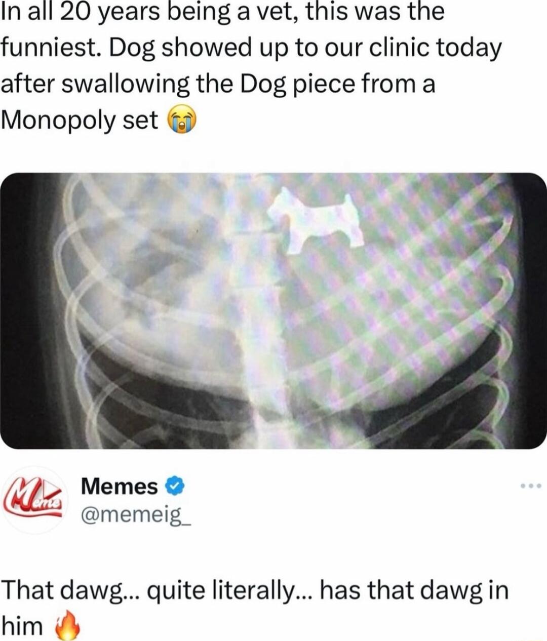 Inall 20 years being a vet this was the funniest Dog showed up to our clinic today after swallowing the Dog piece from a Monopoly set M Memes memeig_ That dawg quite literally has that dawg in him