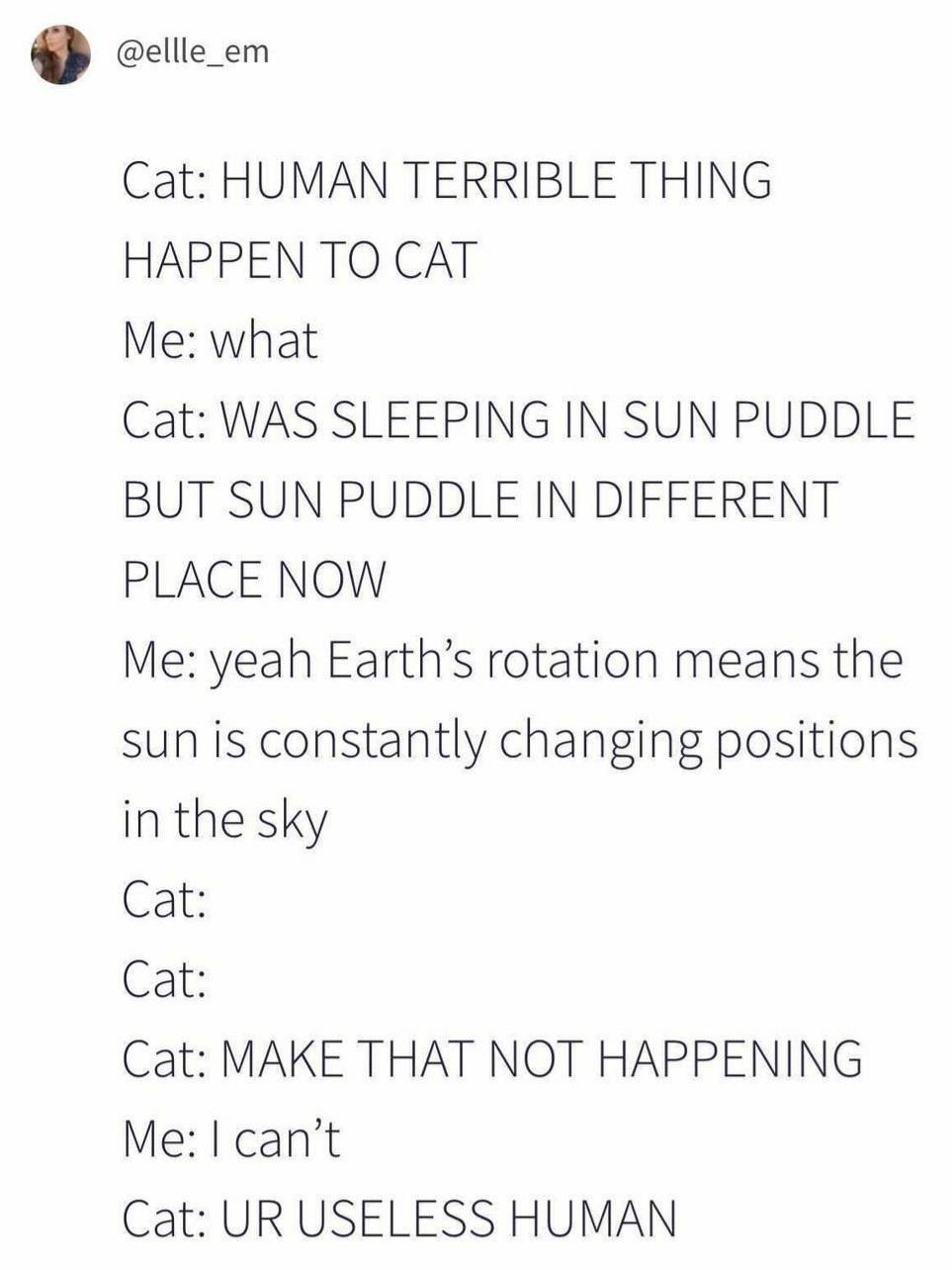 ellle_em Cat HUMAN TERRIBLE THING HAPPEN TO CAT Me what Cat WAS SLEEPING IN SUN PUDDLE BUT SUN PUDDLE IN DIFFERENT PLACE NOW Me yeah Earths rotation means the sun is constantly changing positions in the sky Cat Cat Ca MAKE THAT NOT HAPPENING Me cant Ca URUSELESS HUMAN