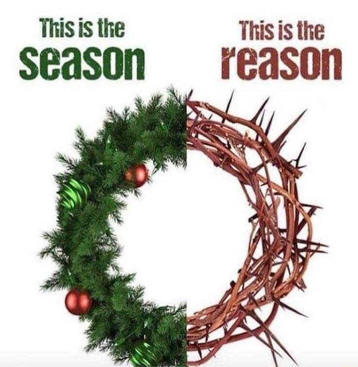 Thisis the Thisis the season reason