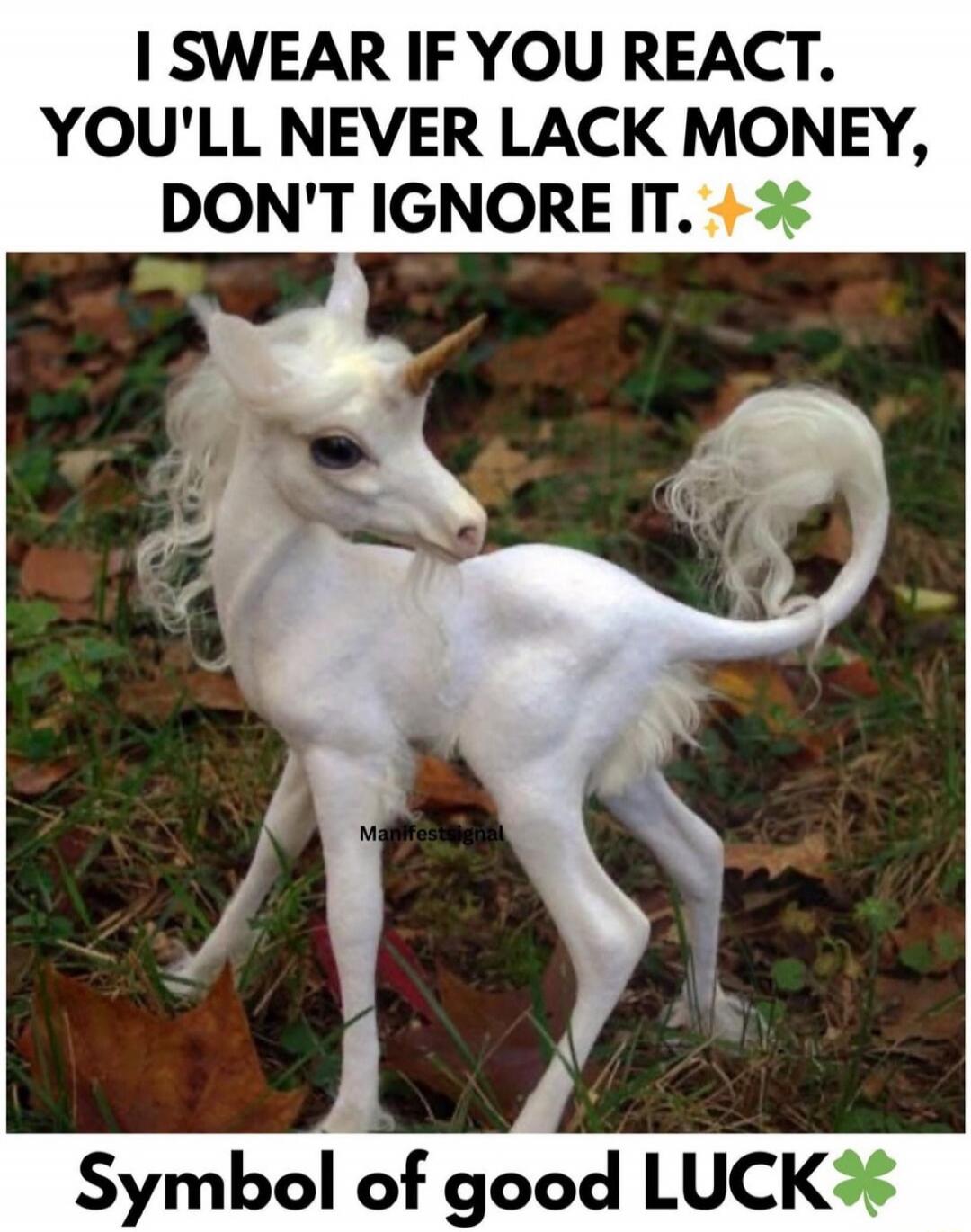 I SWEAR IF YOU REACT, YOU'LL NEVER LACK MONEY, DON'T IGNORE IT. ✨🍀 Symbol of good LUCK
