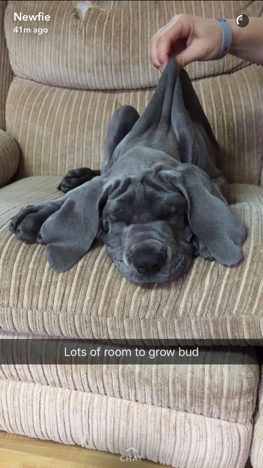 Lots of room to grow bud