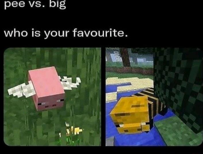 pee vs big who is your favourite