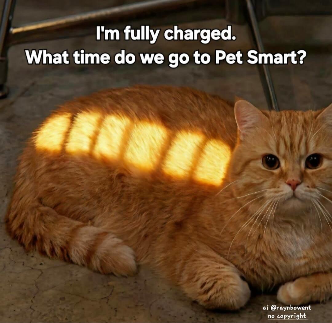 I'm fully charged. What time do we go to Pet Smart?