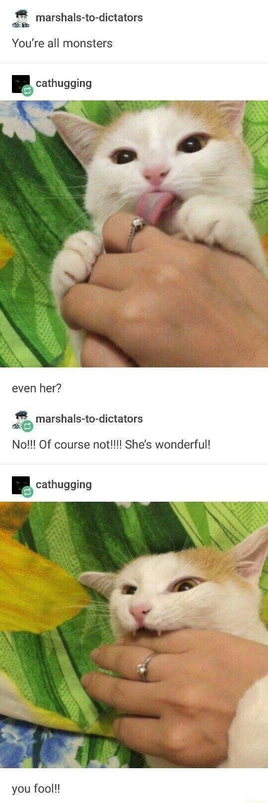 marshals to dictators am Youre all monsters g cathugging even her 40 marshals to dictators Not Of course not Shes wonderful cathugging you fool