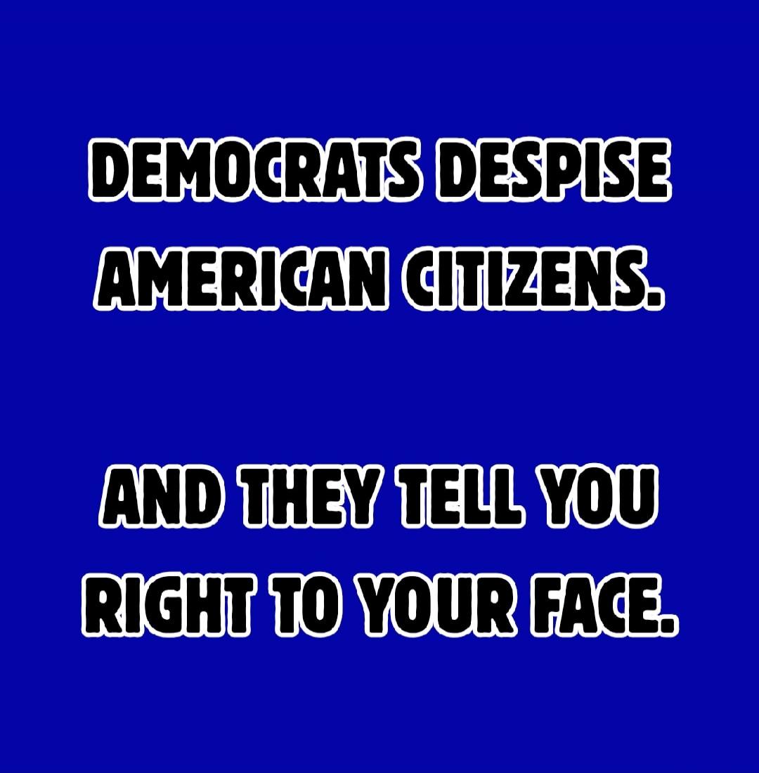 DEMOCRATS DESPISE AMERICAN CITIZENS. AND THEY TELL YOU RIGHT TO YOUR FACE.