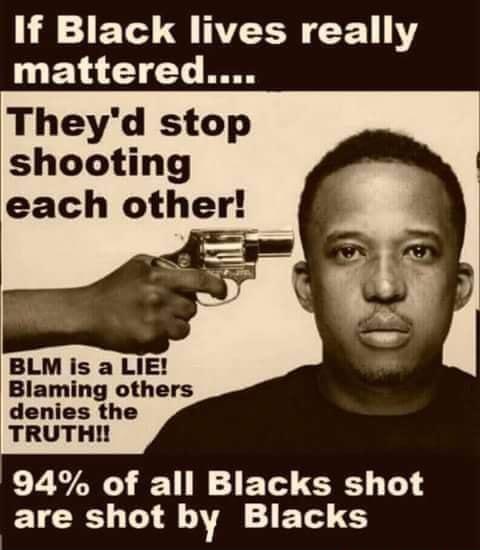 If Black lives really mattered Theyd stop shooting each other BLM is a LIE Blaming others denies the TRUTHI 94 of all Blacks shot ETCE 1 by Blacks