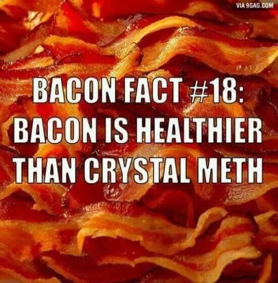 BACON FACT #18: BACON IS HEALTHIER THAN CRYSTAL METH