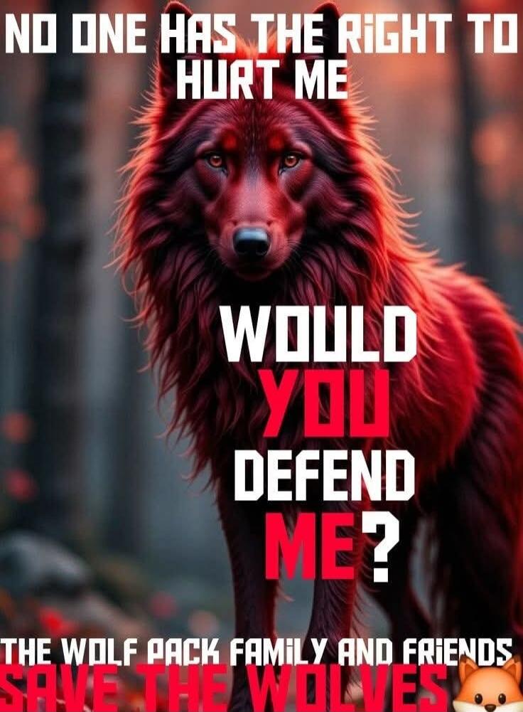 NO ONE HAS THE RIGHT TO HURT ME WOULD YOU DEFEND ME? THE WOLF PACK FAMILY AND FRIENDS SAVE THE WOLVES